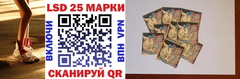 Купить закладки  Сланцы  Марки N-bome 1,5мг 