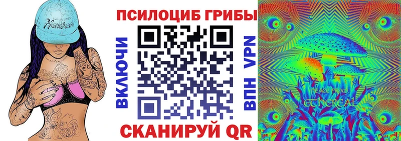 Галлюциногенные грибы Psilocybine cubensis  Купить где  Сланцы 